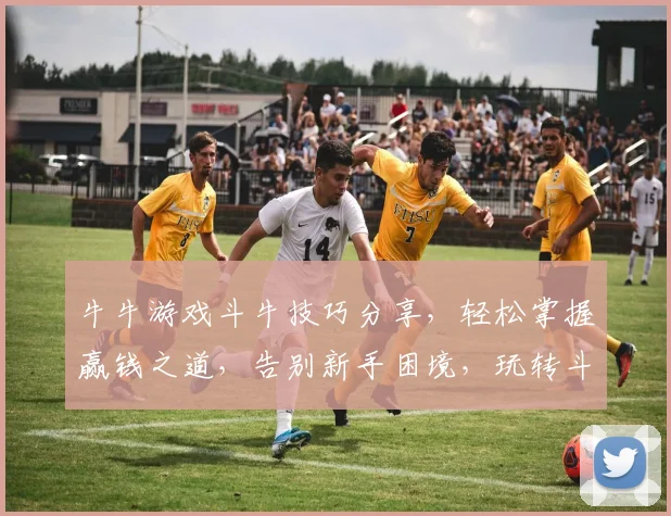 牛牛游戏斗牛技巧分享，轻松掌握赢钱之道，告别新手困境，玩转斗牛世界