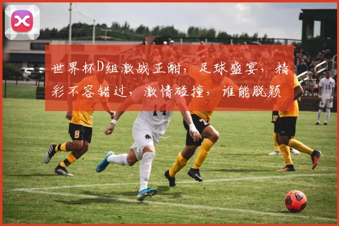 世界杯D组激战正酣，足球盛宴，精彩不容错过，激情碰撞，谁能脱颖而出